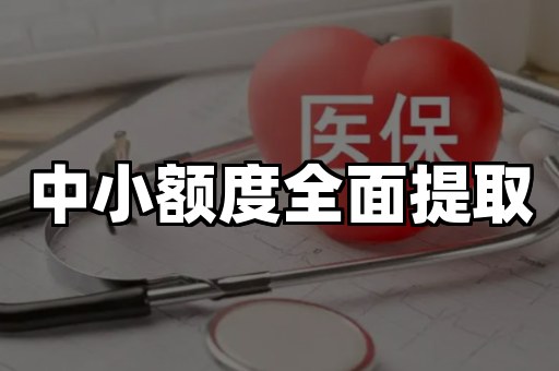 中小额度全面提取
