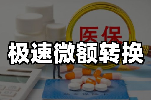 极速微额转换